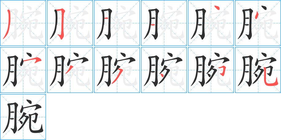 《腕》的笔顺分步演示（一笔一画写字）