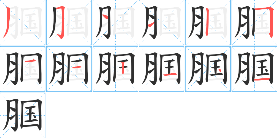 《腘》的笔顺分步演示（一笔一画写字）