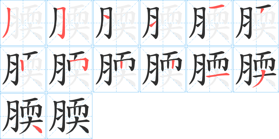 《腝》的笔顺分步演示（一笔一画写字）