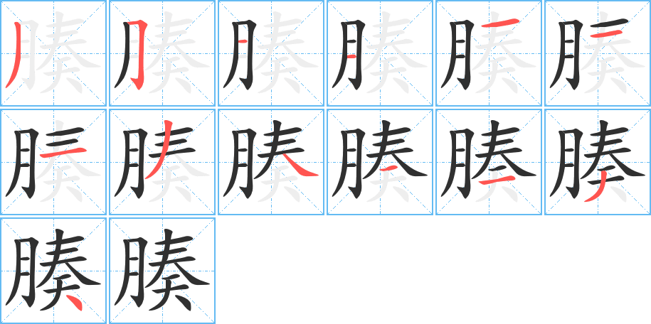《腠》的笔顺分步演示（一笔一画写字）
