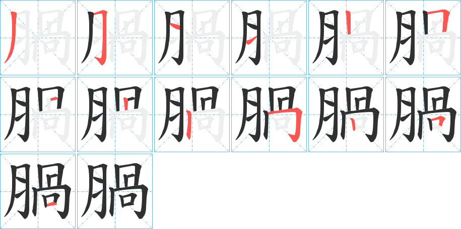 《腡》的笔顺分步演示（一笔一画写字）