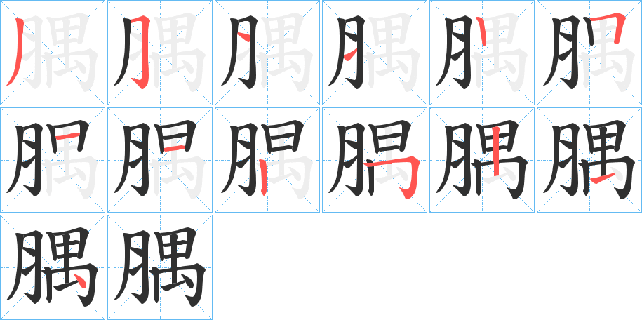 《腢》的笔顺分步演示（一笔一画写字）