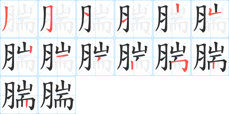 《腨》的笔顺分步演示（一笔一画写字）