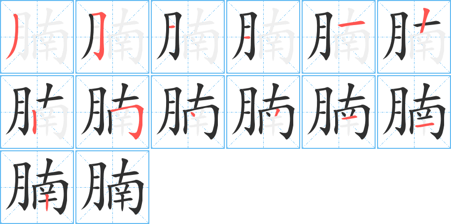 《腩》的笔顺分步演示（一笔一画写字）