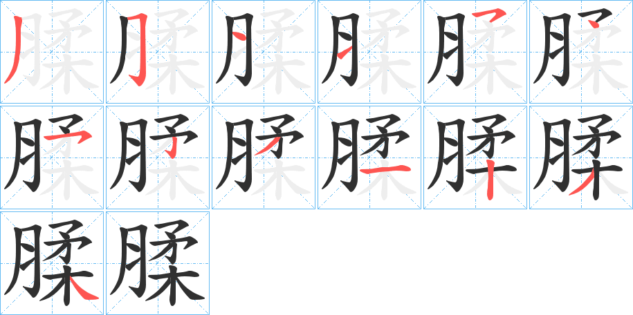 《腬》的笔顺分步演示（一笔一画写字）