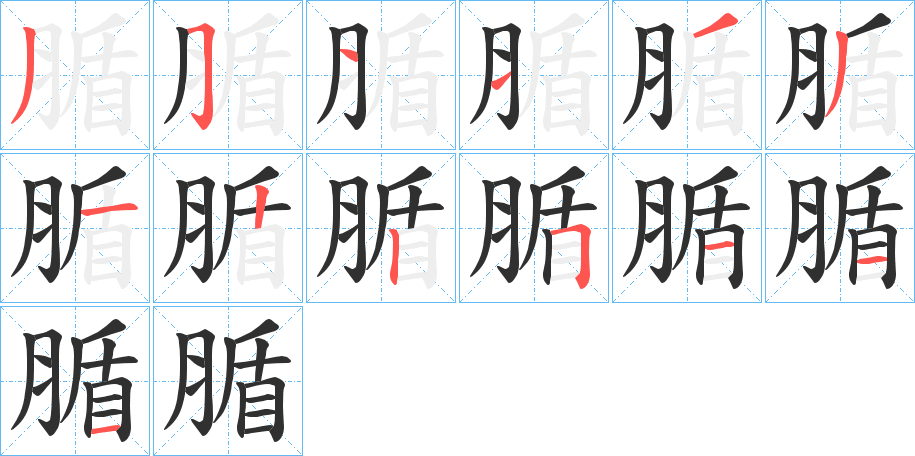 《腯》的笔顺分步演示（一笔一画写字）