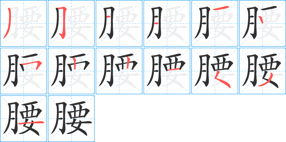 《腰》的笔顺分步演示（一笔一画写字）