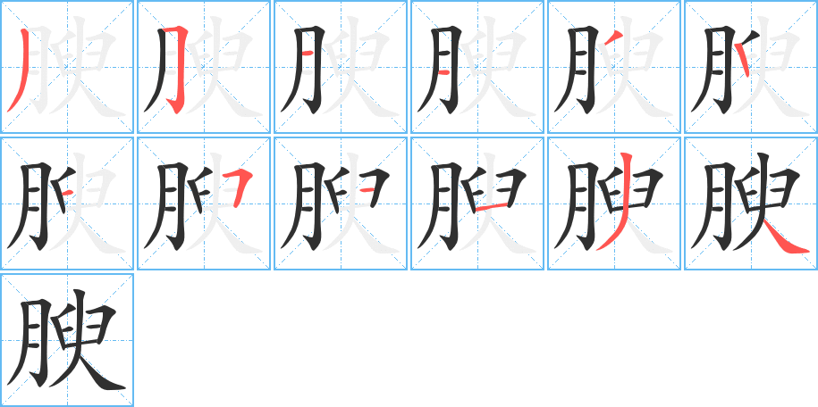 《腴》的笔顺分步演示（一笔一画写字）