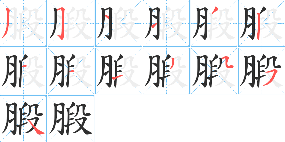 《腶》的笔顺分步演示（一笔一画写字）