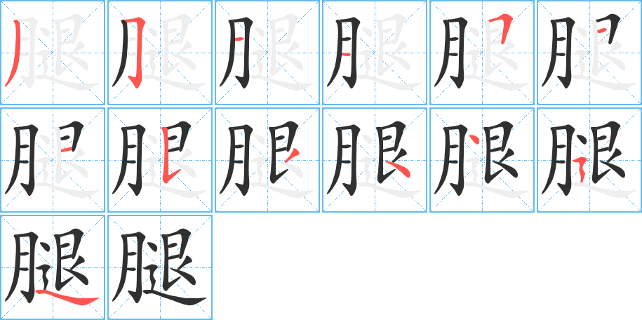 《腿》的笔顺分步演示（一笔一画写字）