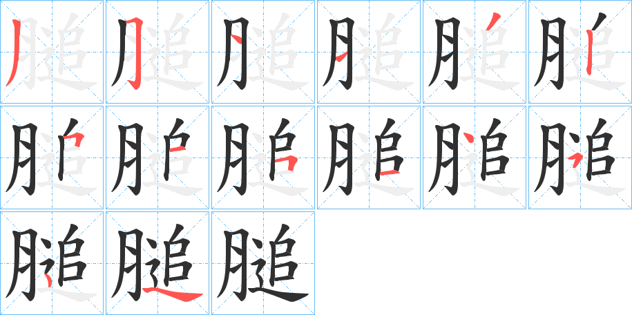 《膇》的笔顺分步演示（一笔一画写字）