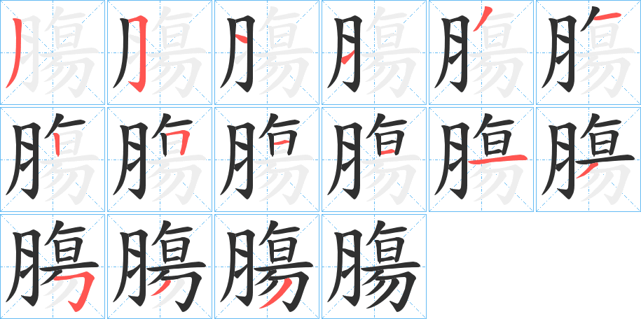《膓》的笔顺分步演示（一笔一画写字）