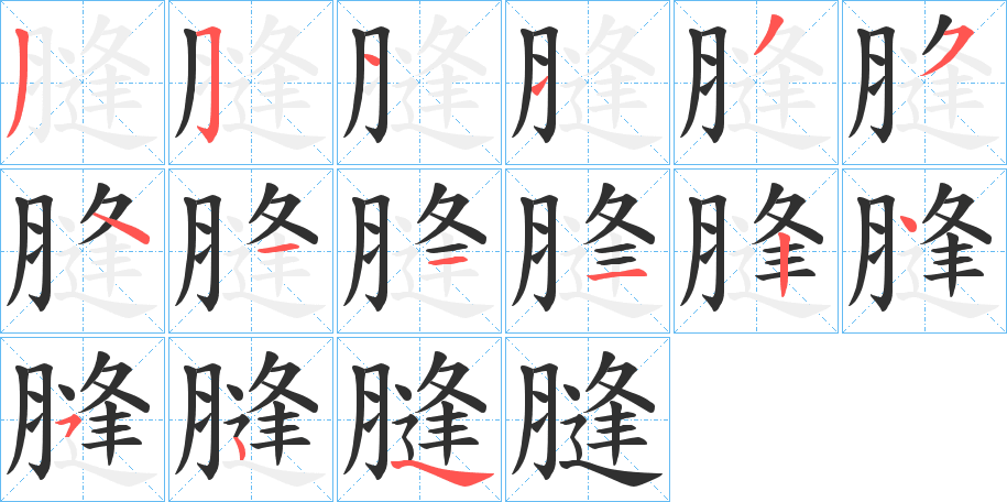《膖》的笔顺分步演示（一笔一画写字）