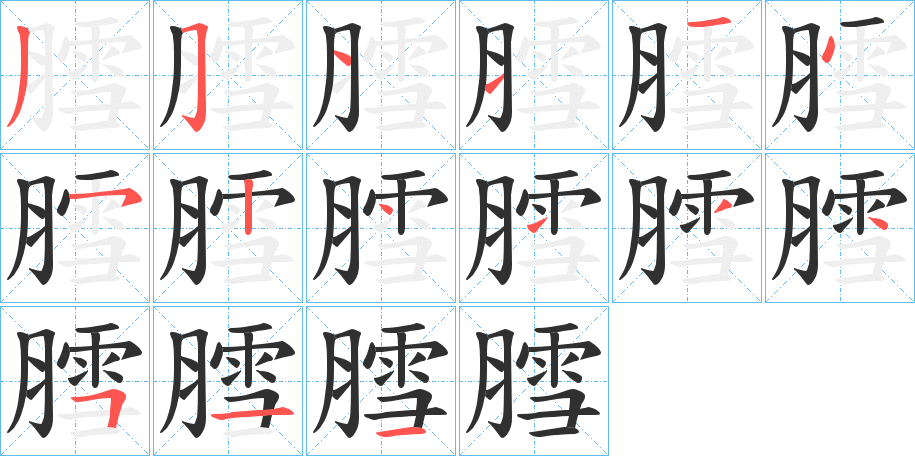 《膤》的笔顺分步演示（一笔一画写字）