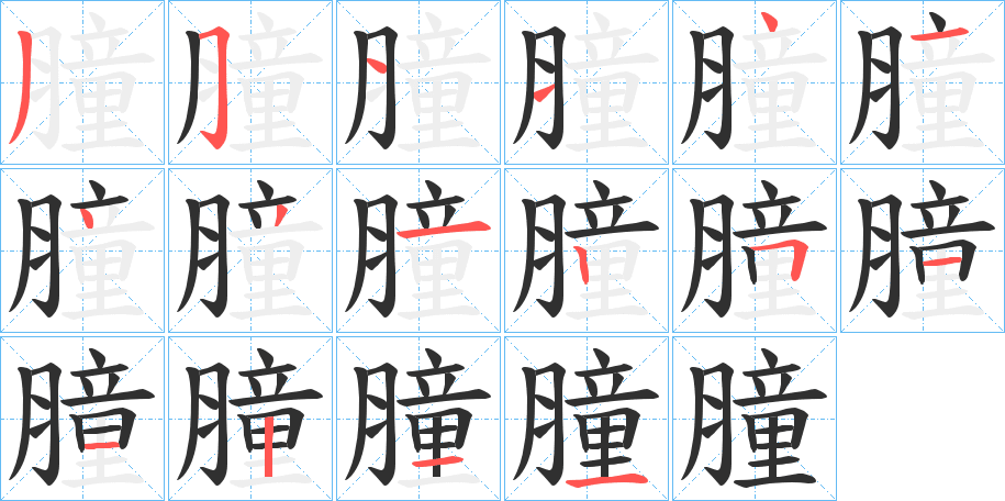 《膧》的笔顺分步演示（一笔一画写字）