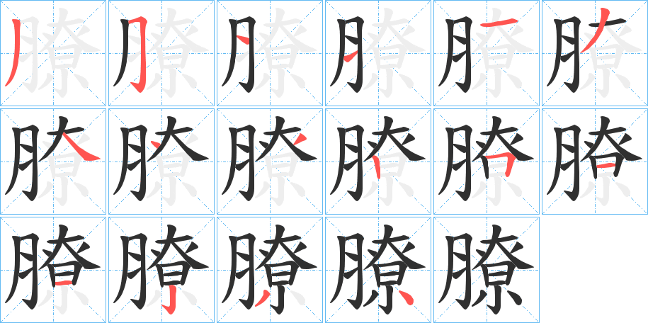《膫》的笔顺分步演示（一笔一画写字）