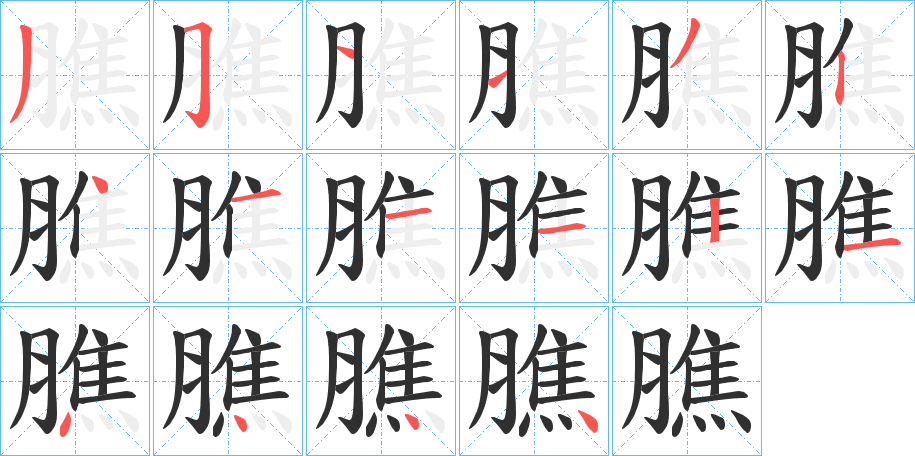 《膲》的笔顺分步演示（一笔一画写字）