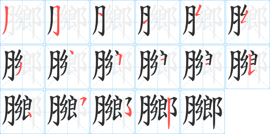 《膷》的笔顺分步演示（一笔一画写字）