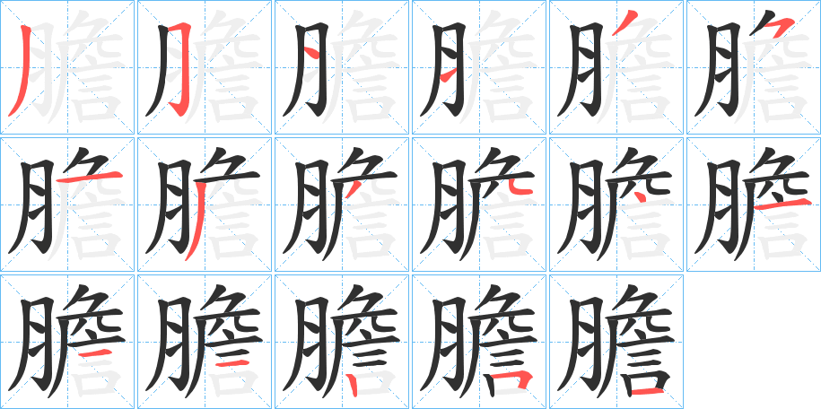 《膽》的笔顺分步演示（一笔一画写字）