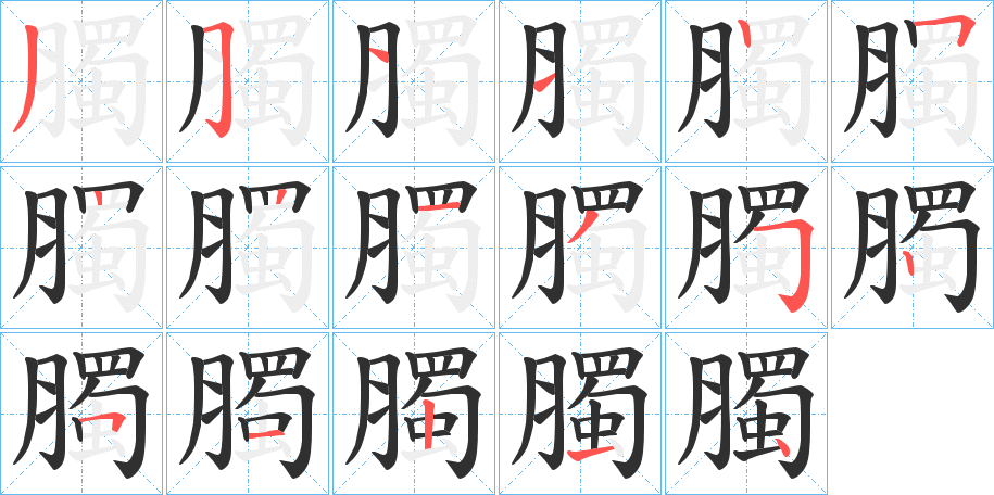 《臅》的笔顺分步演示（一笔一画写字）
