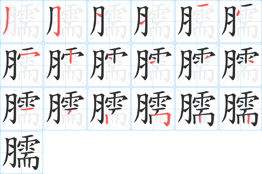 《臑》的笔顺分步演示（一笔一画写字）
