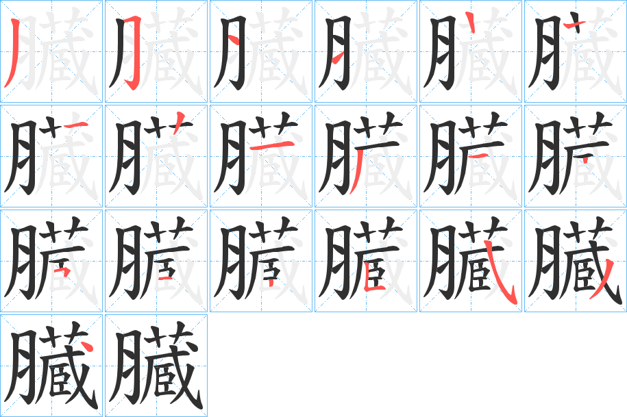 《臓》的笔顺分步演示（一笔一画写字）