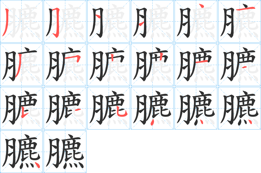 《臕》的笔顺分步演示（一笔一画写字）