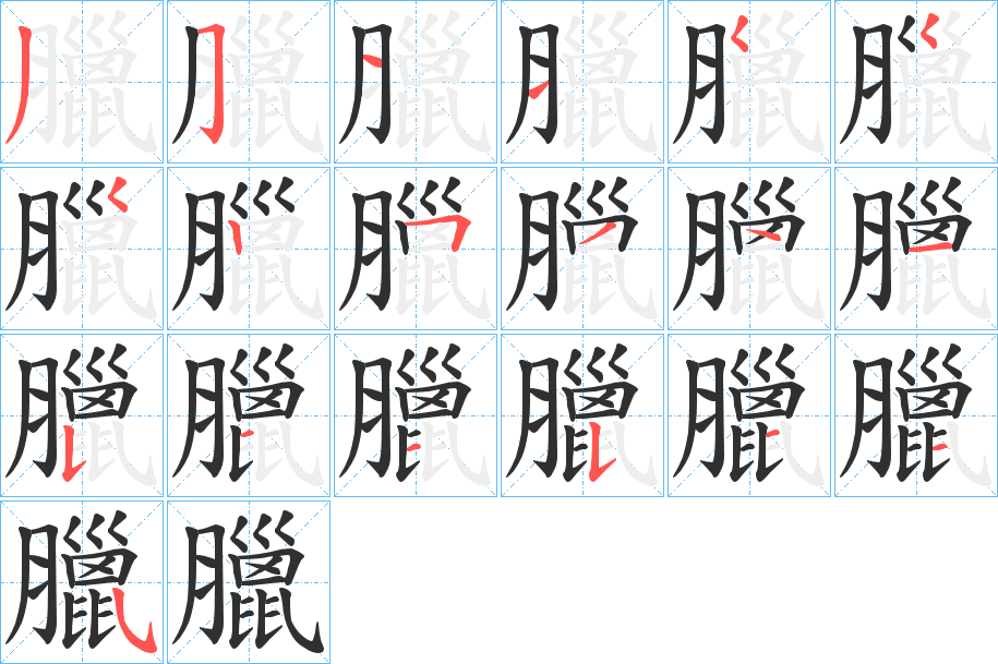 《臘》的笔顺分步演示（一笔一画写字）