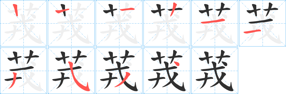 《茙》的笔顺分步演示（一笔一画写字）
