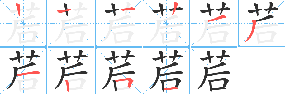 《茩》的笔顺分步演示（一笔一画写字）