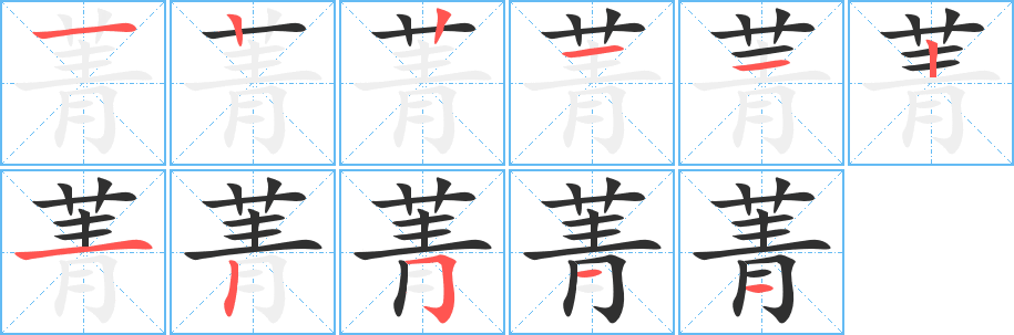 《菁》的笔顺分步演示（一笔一画写字）