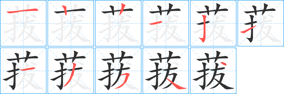 《菝》的笔顺分步演示（一笔一画写字）