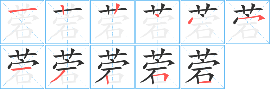 《菪》的笔顺分步演示（一笔一画写字）