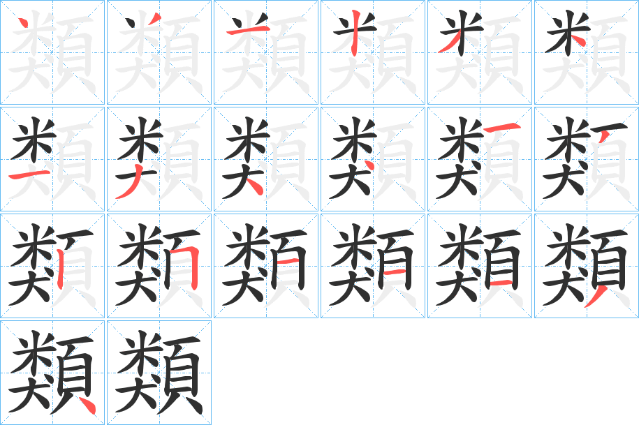 《類》的笔顺分步演示（一笔一画写字）