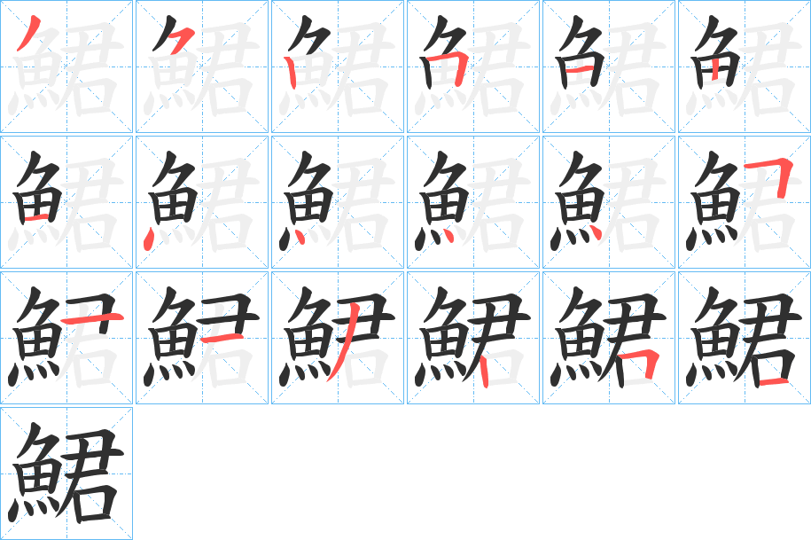《鮶》的笔顺分步演示（一笔一画写字）