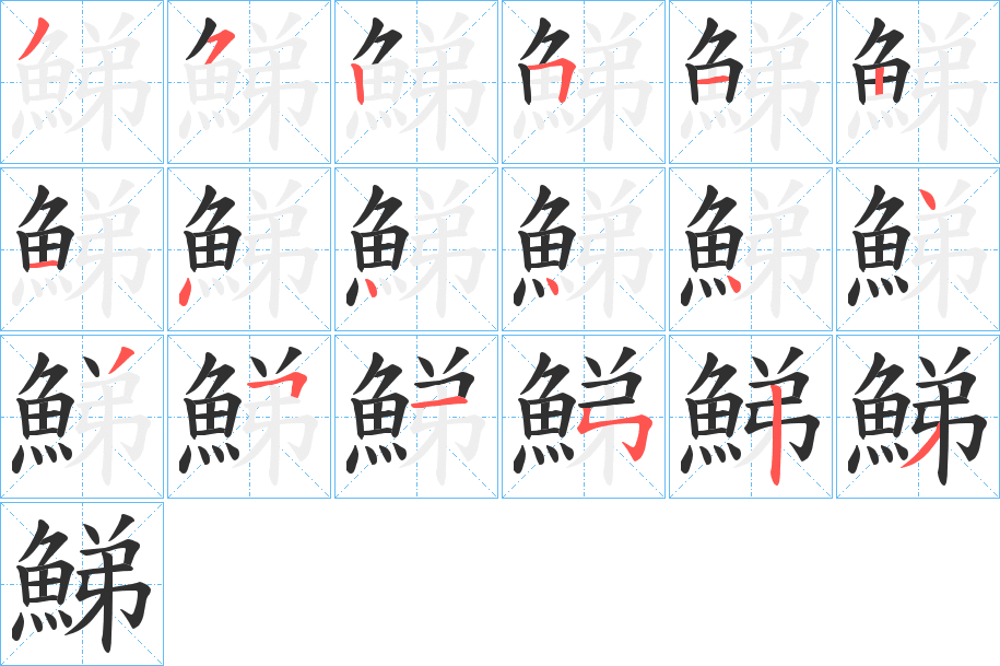 《鮷》的笔顺分步演示（一笔一画写字）