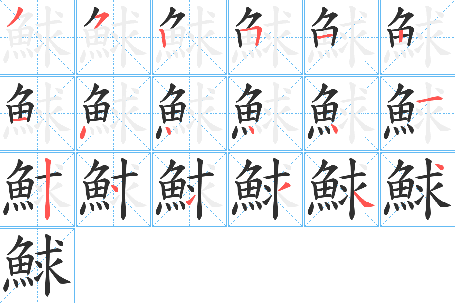 《鯄》的笔顺分步演示（一笔一画写字）