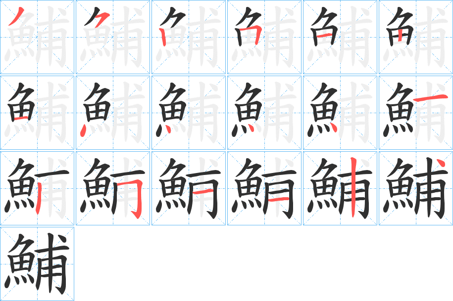 《鯆》的笔顺分步演示（一笔一画写字）