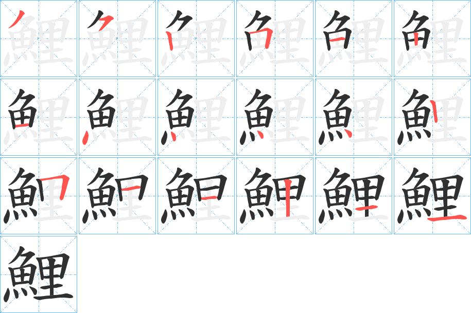 《鯉》的笔顺分步演示（一笔一画写字）