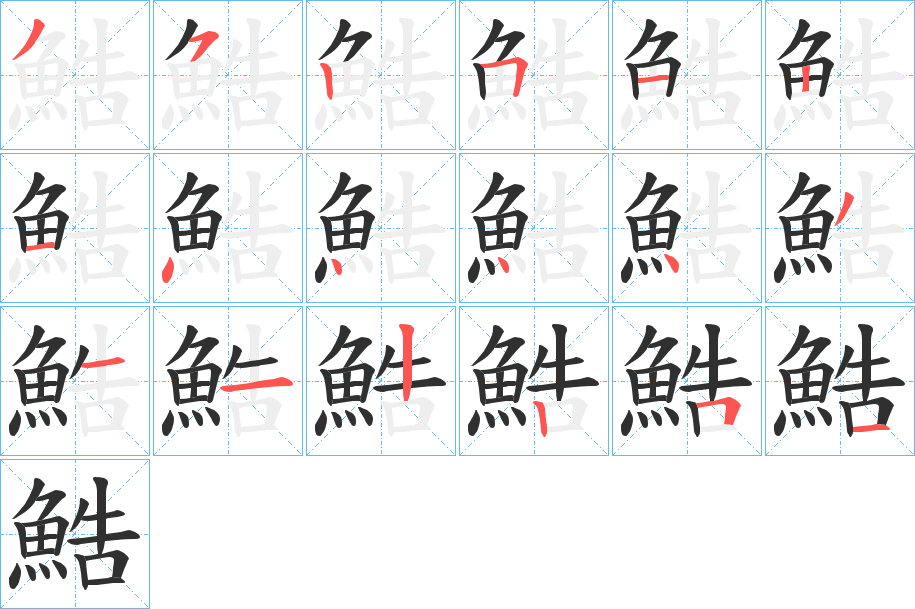 《鯌》的笔顺分步演示（一笔一画写字）