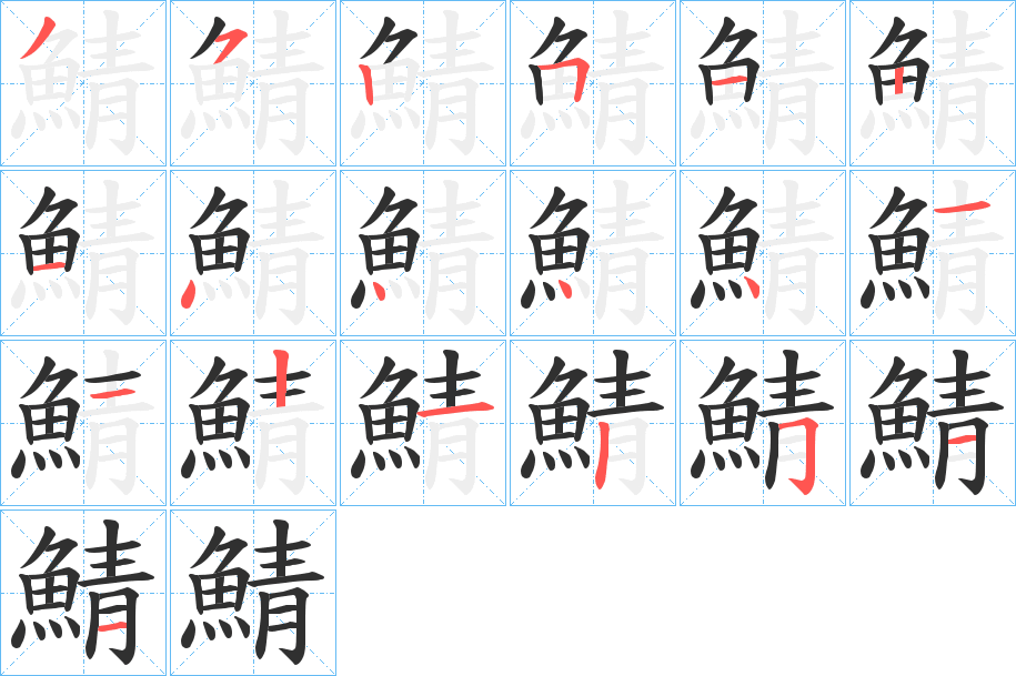 《鯖》的笔顺分步演示（一笔一画写字）