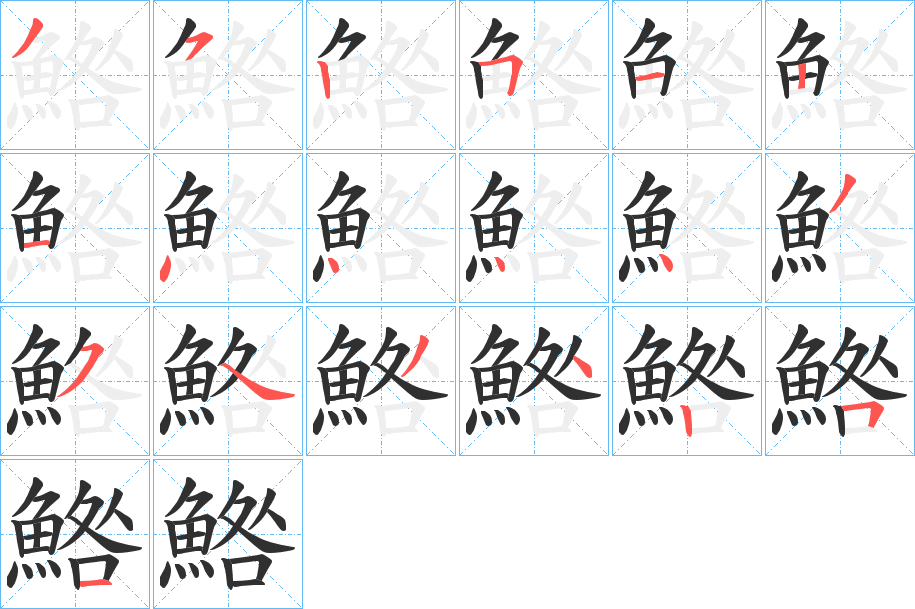 《鯦》的笔顺分步演示（一笔一画写字）