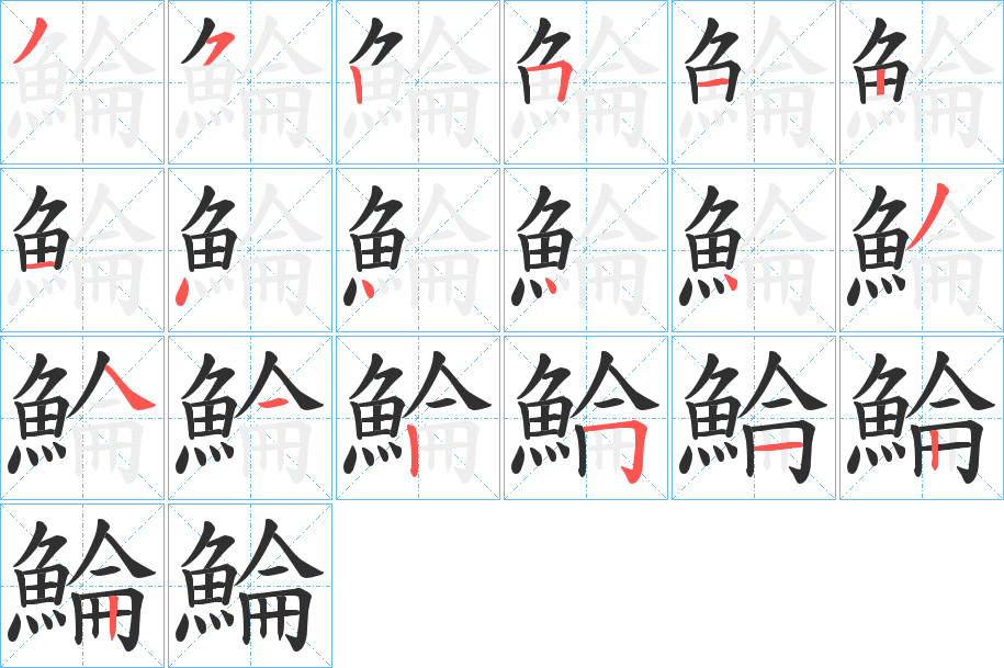 《鯩》的笔顺分步演示（一笔一画写字）