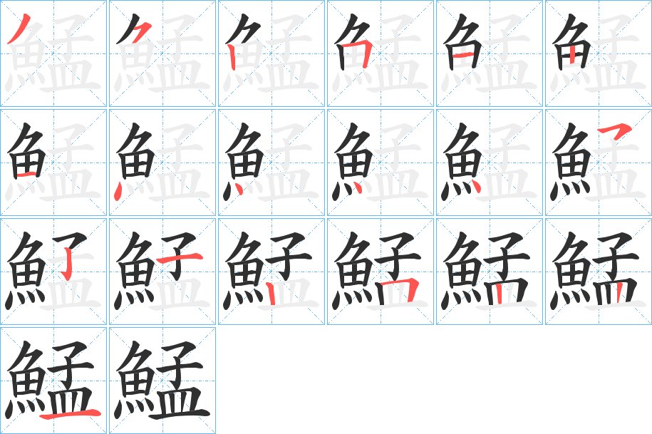 《鯭》的笔顺分步演示（一笔一画写字）