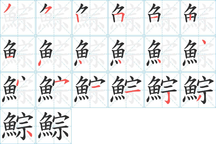 《鯮》的笔顺分步演示（一笔一画写字）