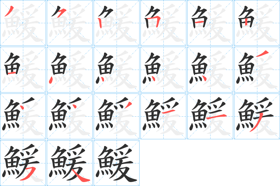 《鰀》的笔顺分步演示（一笔一画写字）