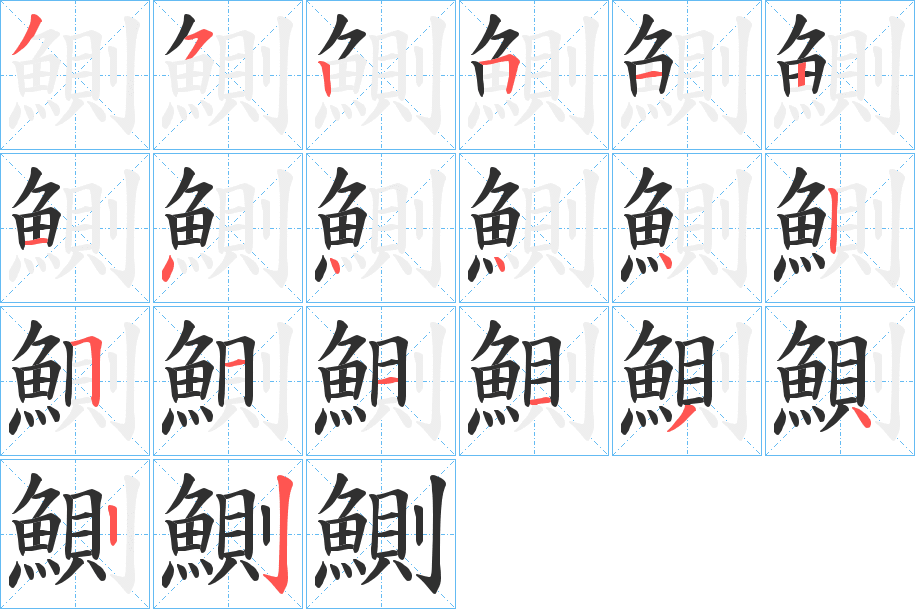 《鰂》的笔顺分步演示（一笔一画写字）