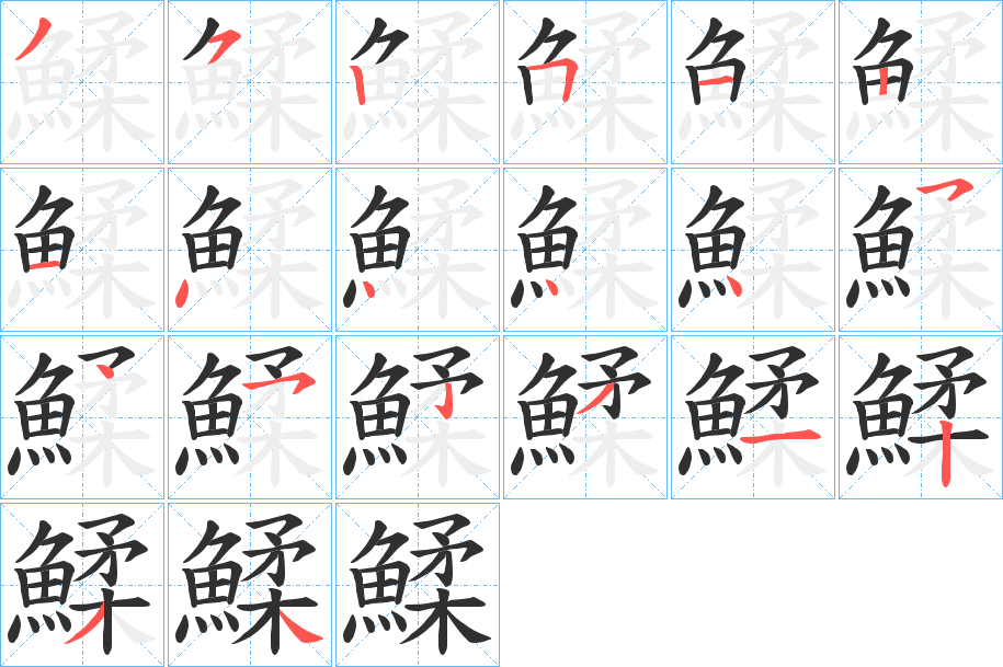 《鰇》的笔顺分步演示（一笔一画写字）
