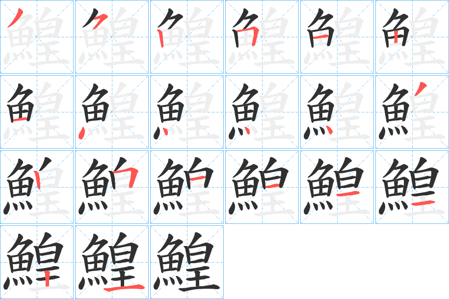 《鰉》的笔顺分步演示（一笔一画写字）