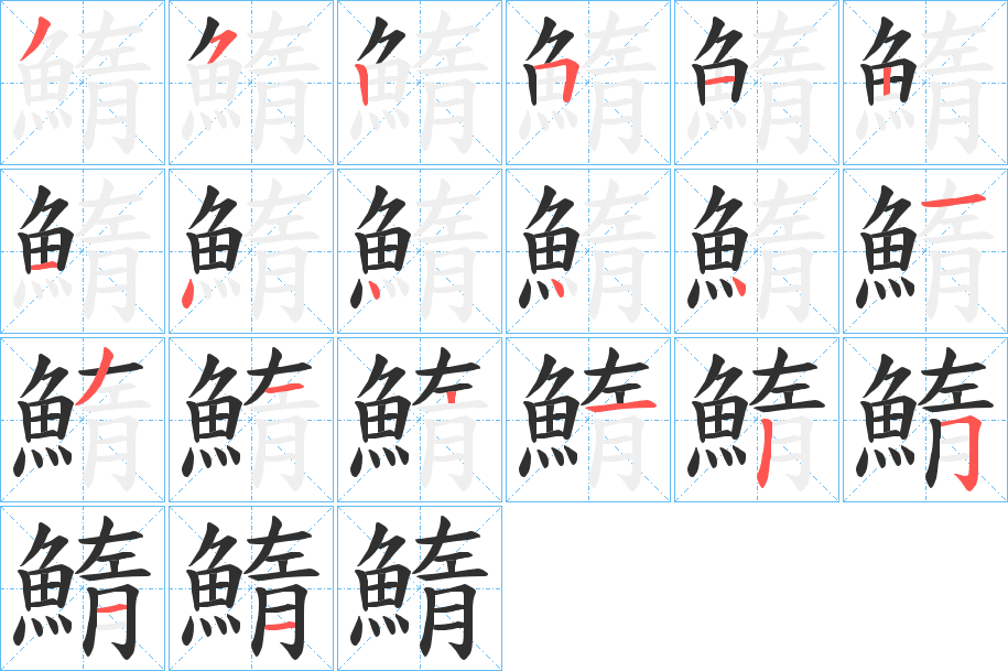 《鰖》的笔顺分步演示（一笔一画写字）